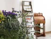 The Shoppe on flowers and shelf.