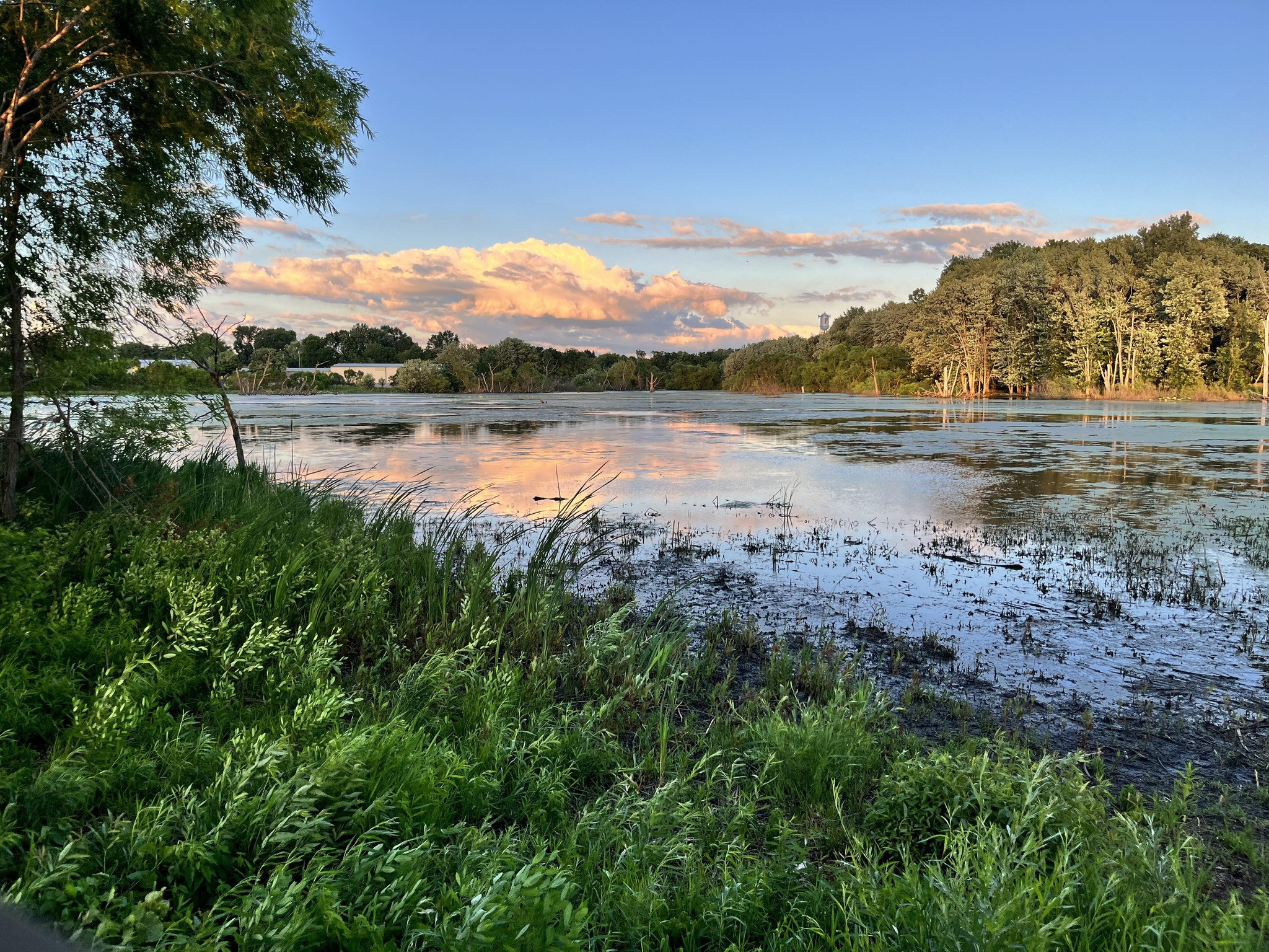 Ackerman nature preserve sunset photo.