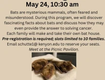 Brown Family Environmental Center Befriending Bats flyer.