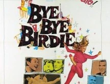 Bye Bye Birdie