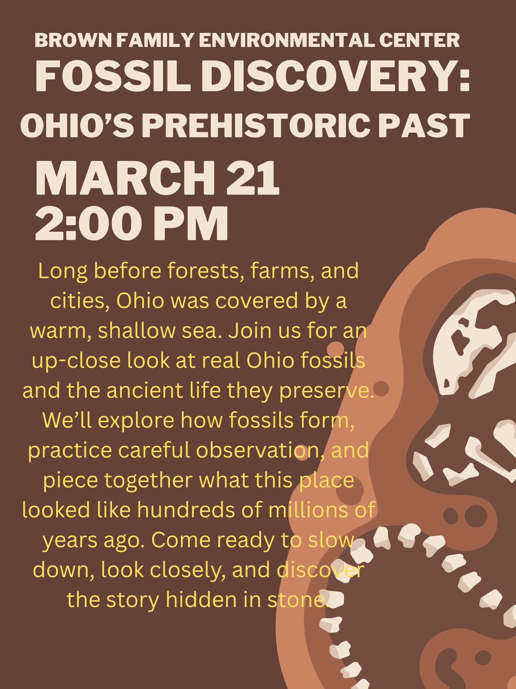 Fossil Discovery: Ohio's Prehistoric Past