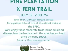 Guided Hike Pine Plantation and Fern Trail flyer.