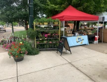 Bee Kind Acres