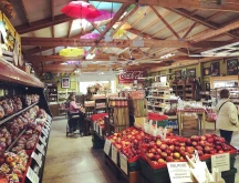 Branstool Orchards