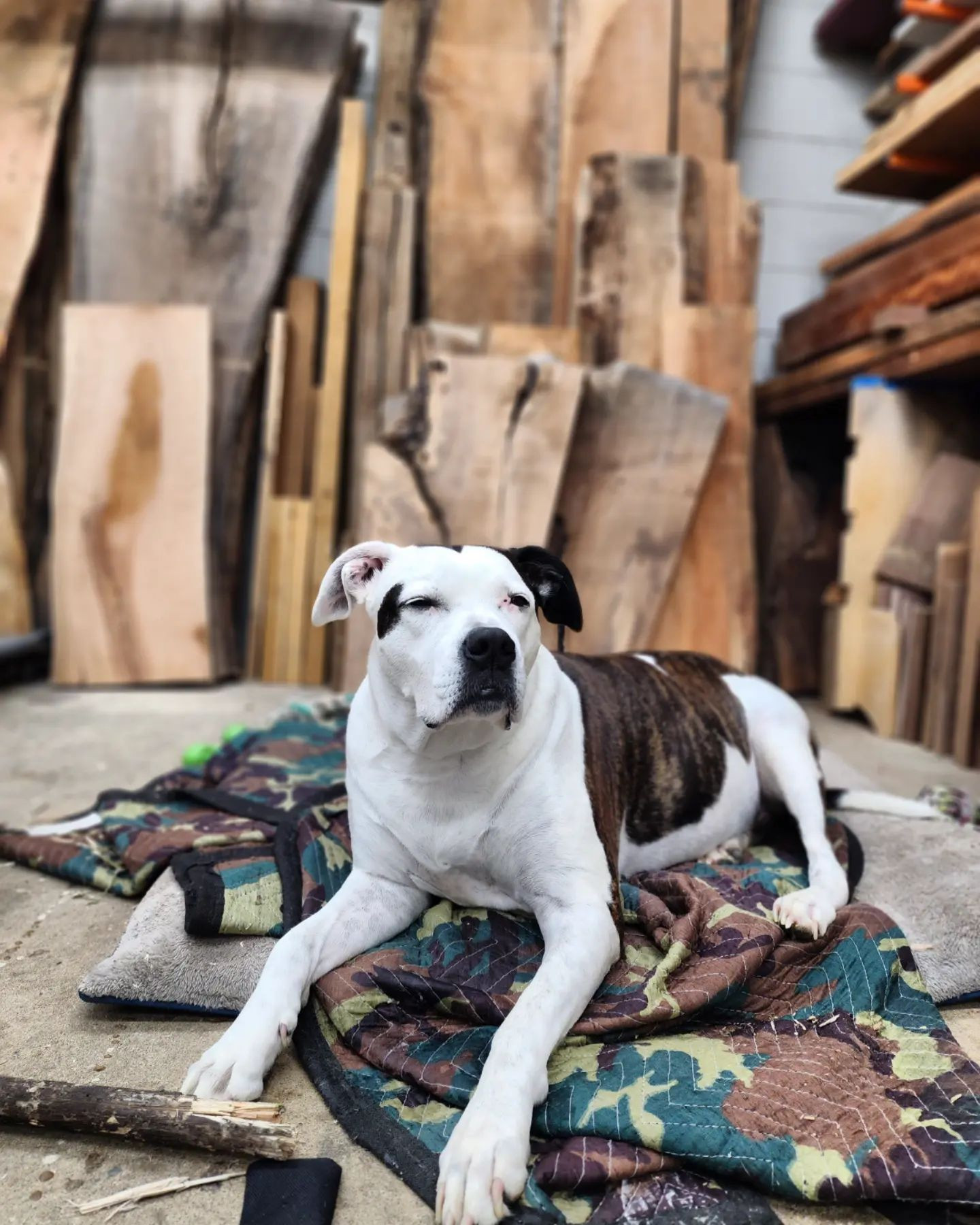 Chester Custom Woodworks