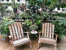 Country Colors Greenhouse