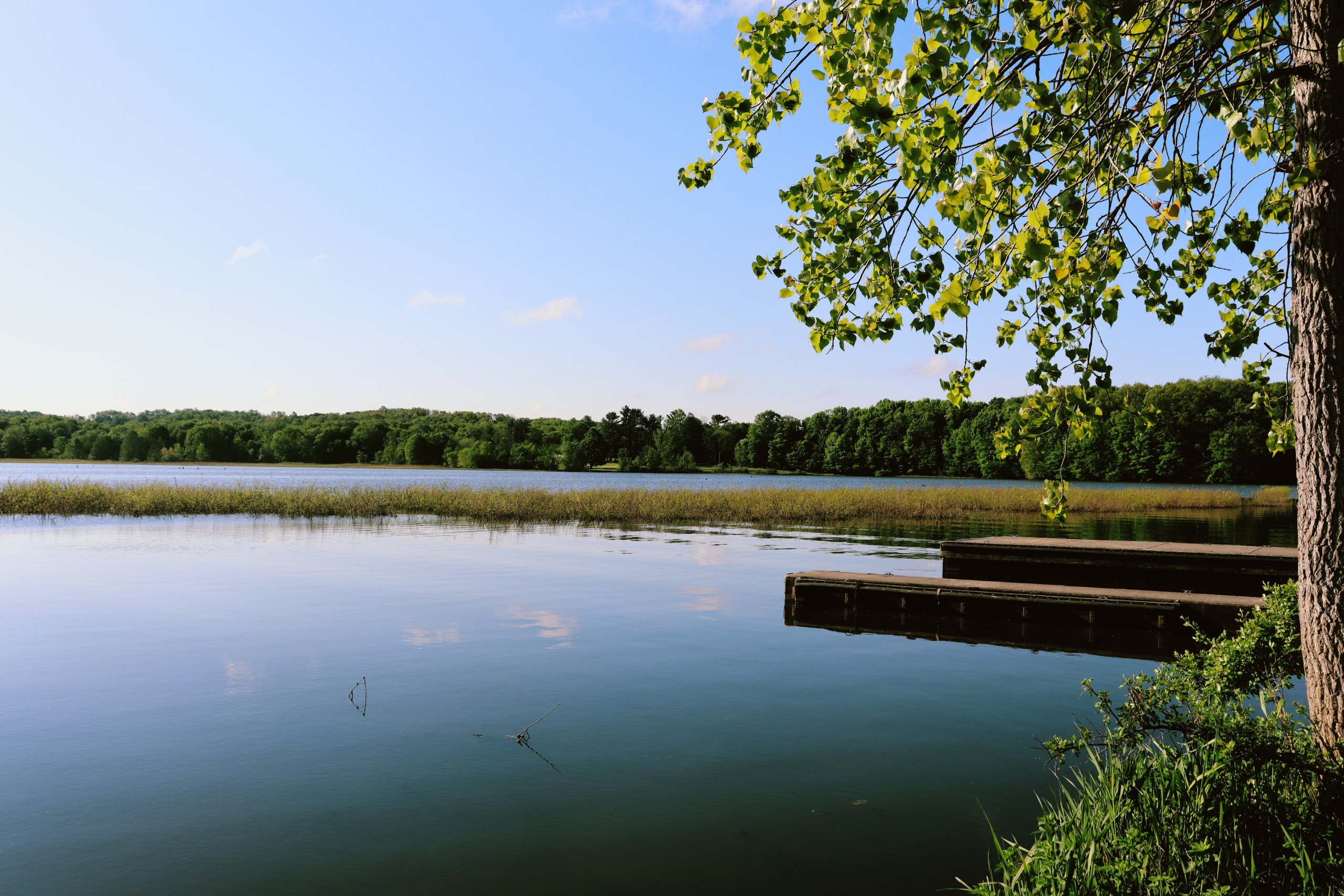 Knox Lake in Fredericktown, Ohio