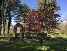 New Testament Stone Garden