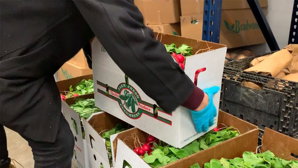 Yellow Bird Food Shed