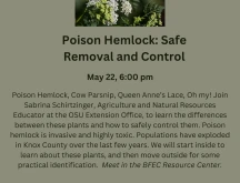 Poison Hemlock Safe Removal and Control flyer