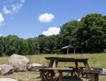 Ramser Arboretum bench and rocks.