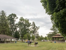 Riverside park Gazebo and Shelter.