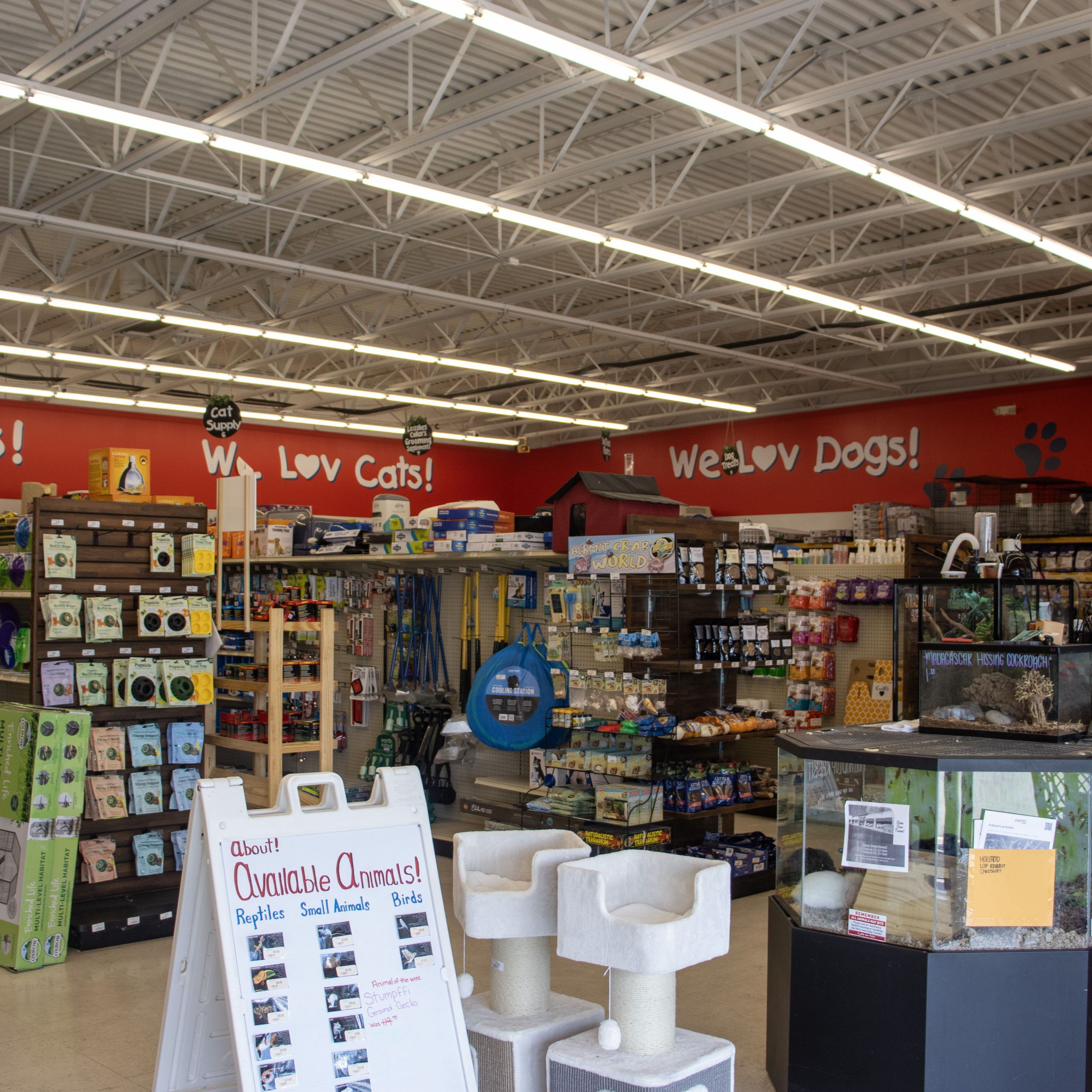 We Lov Pets Mount Vernon Interior